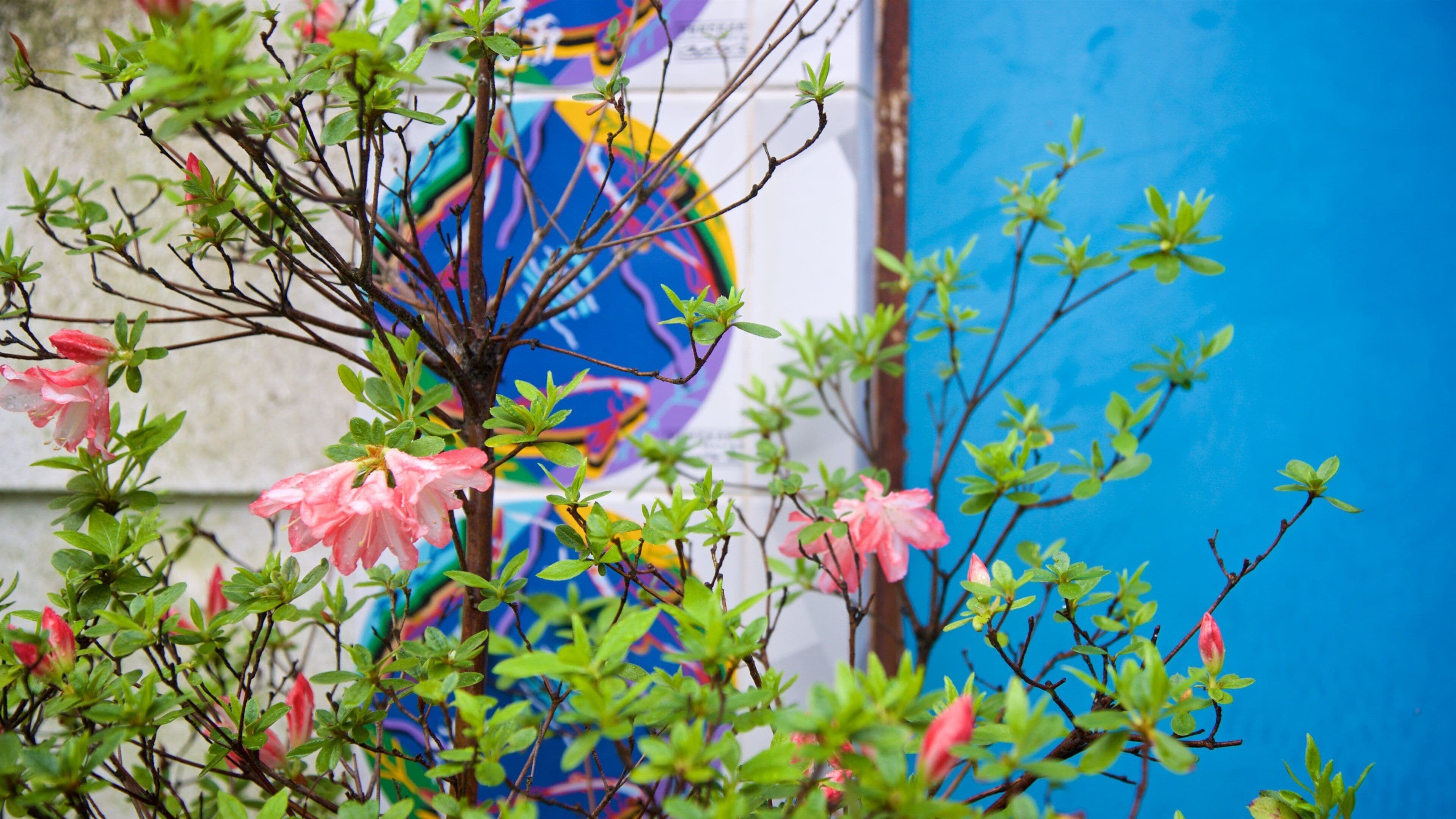 Jeonhyeoklim Art Museum featuring wildflowers