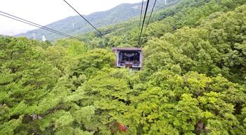 The Ropeway at Apsan park in Daegu city, South Korea.; Shutterstock ID 786266896; purchase_order: SF 06557000; job: ; client: ; other: