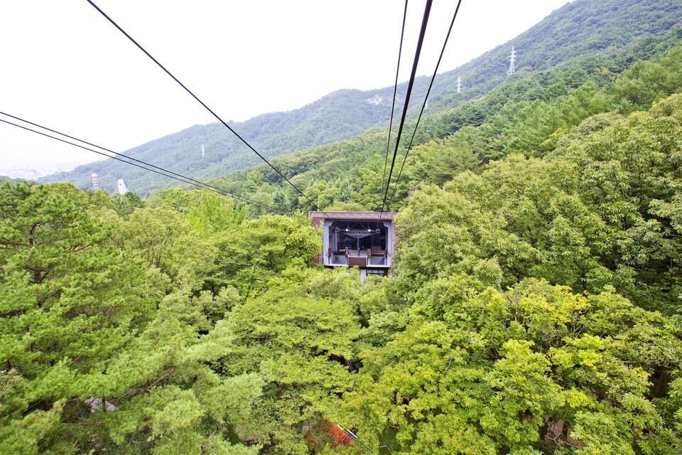 Teleférico em meio a uma floresta verde densa, com montanhas ao fundo.