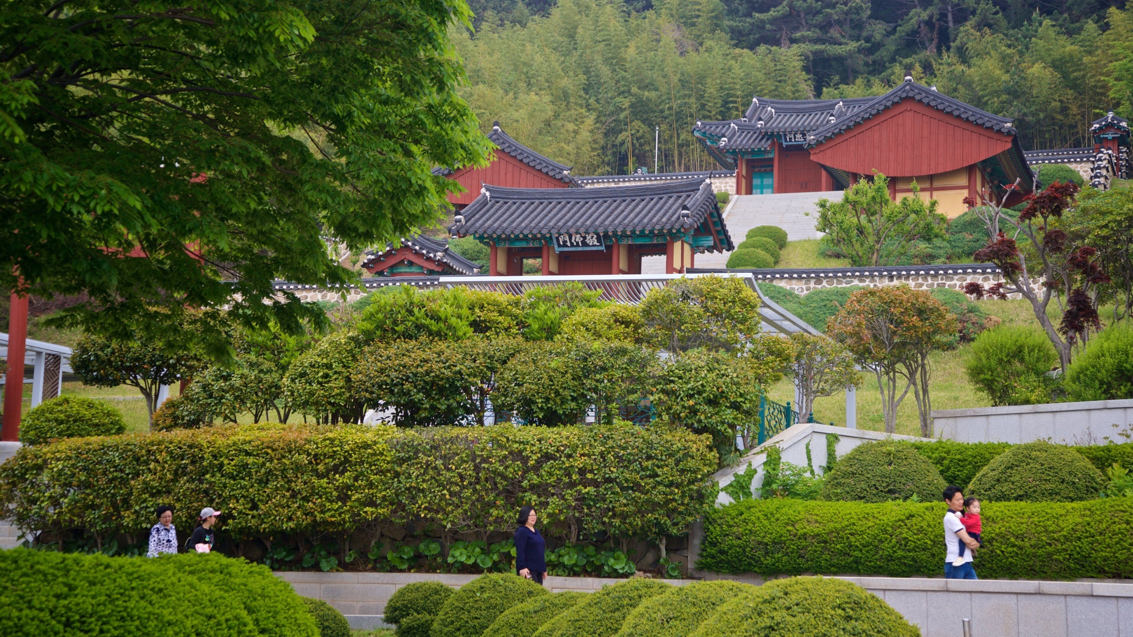 Un complejo de templos coreano tradicional con edificios de color rojo y verde, rodeado de abundante vegetación y jardines cuidados.