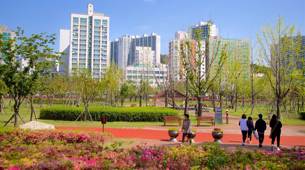 Busan Citizens Park das einen Garten, Wildblumen und Stadt
