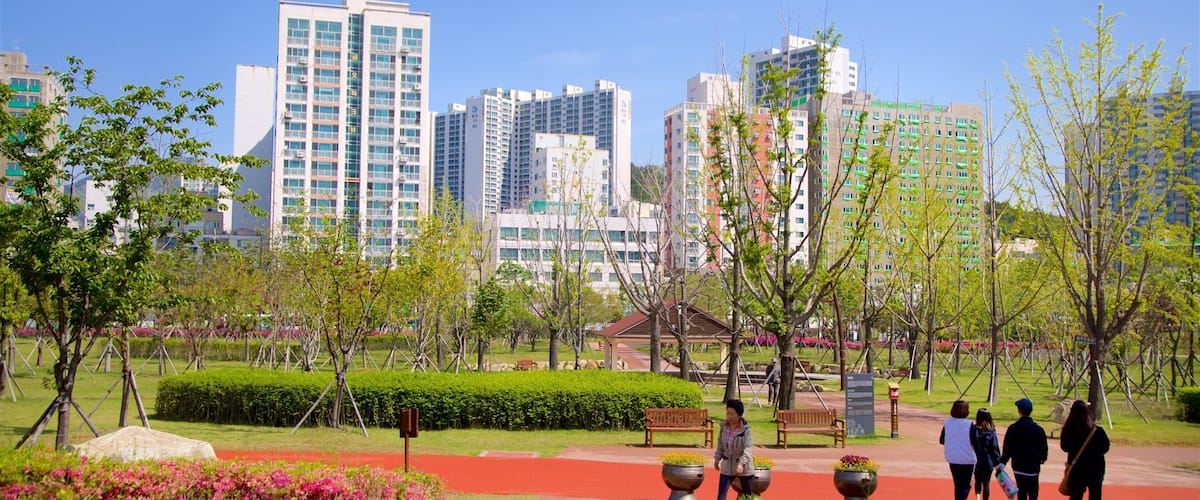 Busan Citizens Park das einen Garten, Wildblumen und Stadt