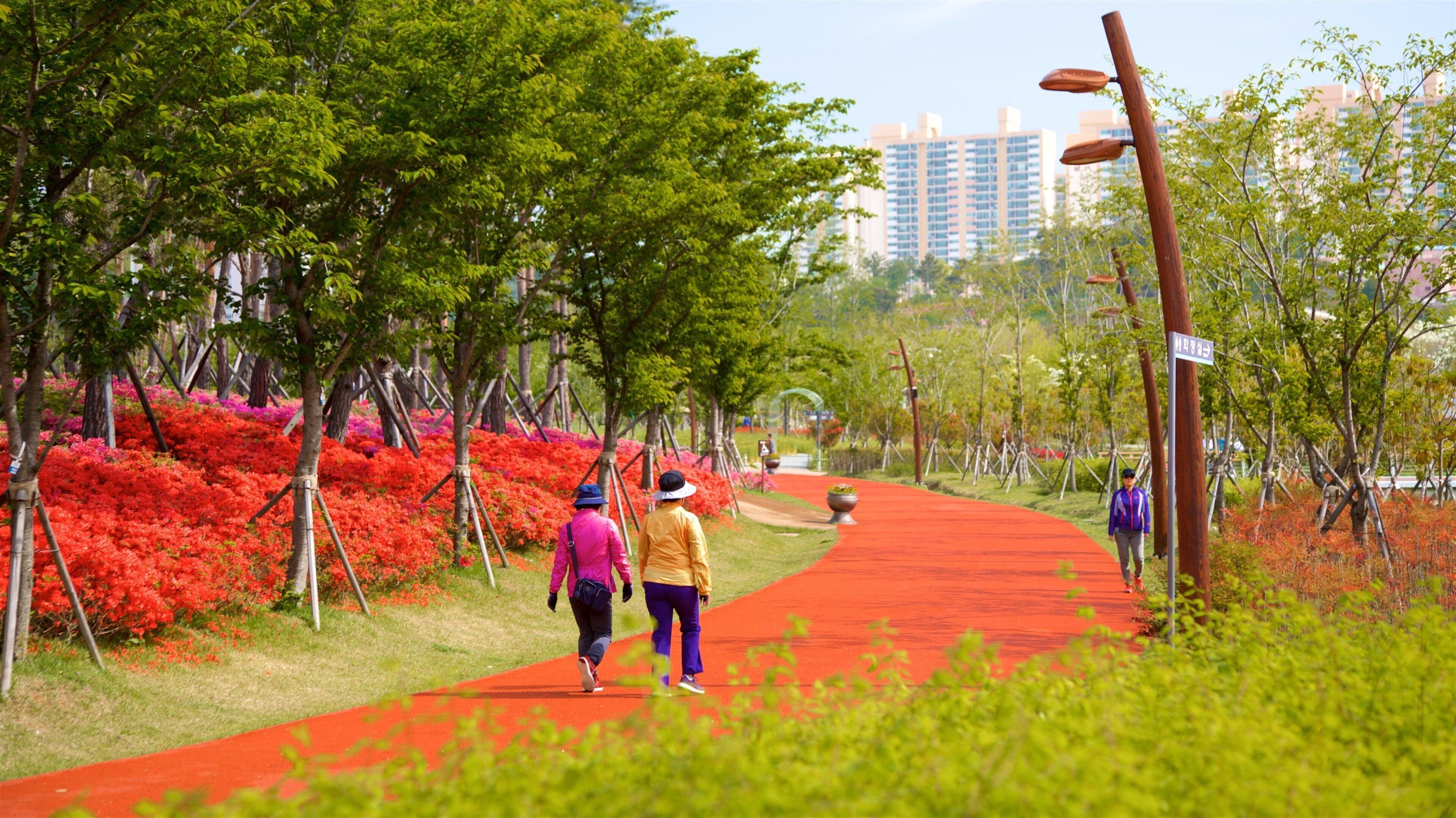 Busan Citizens Park which includes a park, wildflowers and a city