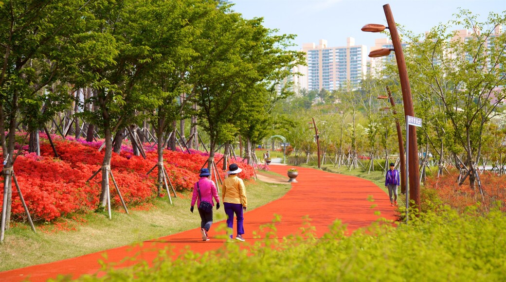 Busan Citizens Park which includes a park, wildflowers and a city