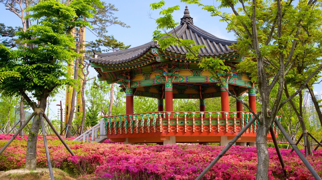 Busan Citizens Park das einen Geschichtliches, Park und Wildblumen