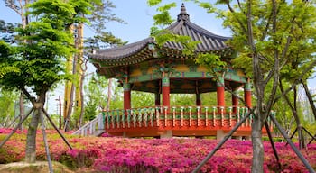Busan Citizens Park featuring heritage elements, a garden and wildflowers