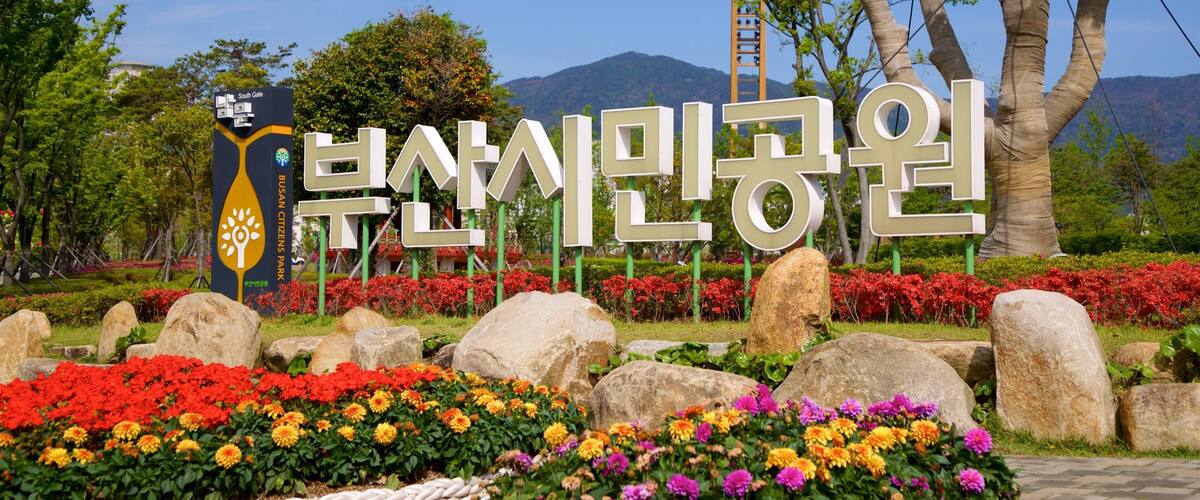 Busan Citizens Park showing signage, a garden and wildflowers