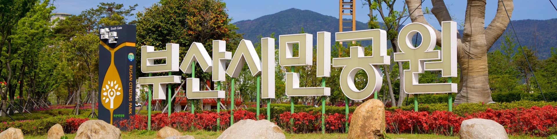 Parc des citoyens de Busan montrant signalisation, fleurs sauvages et parc