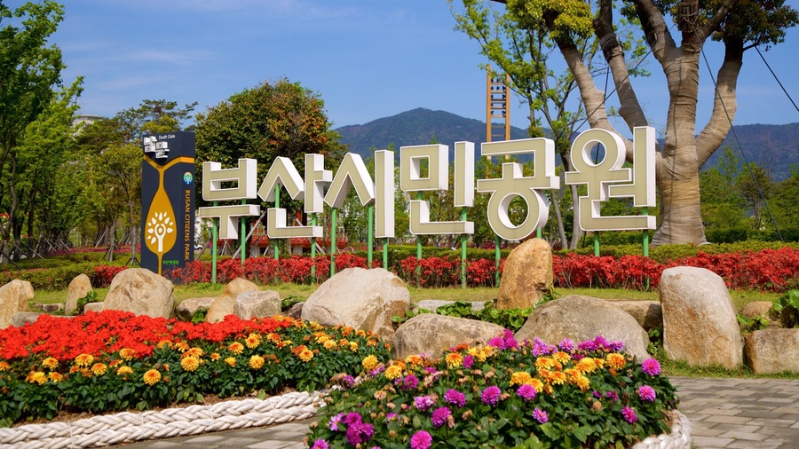 Busan Citizens Park showing signage, a garden and wildflowers