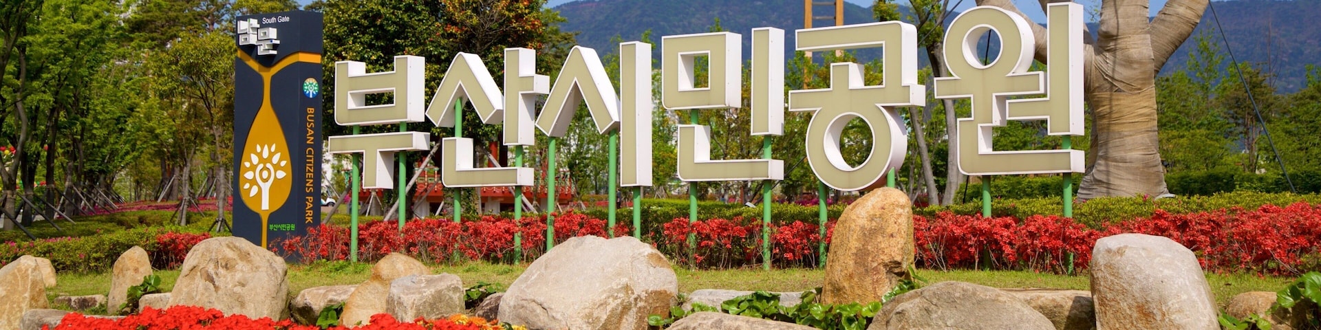 Parque Busan Citizens Park ofreciendo señalización, flores silvestres y jardín