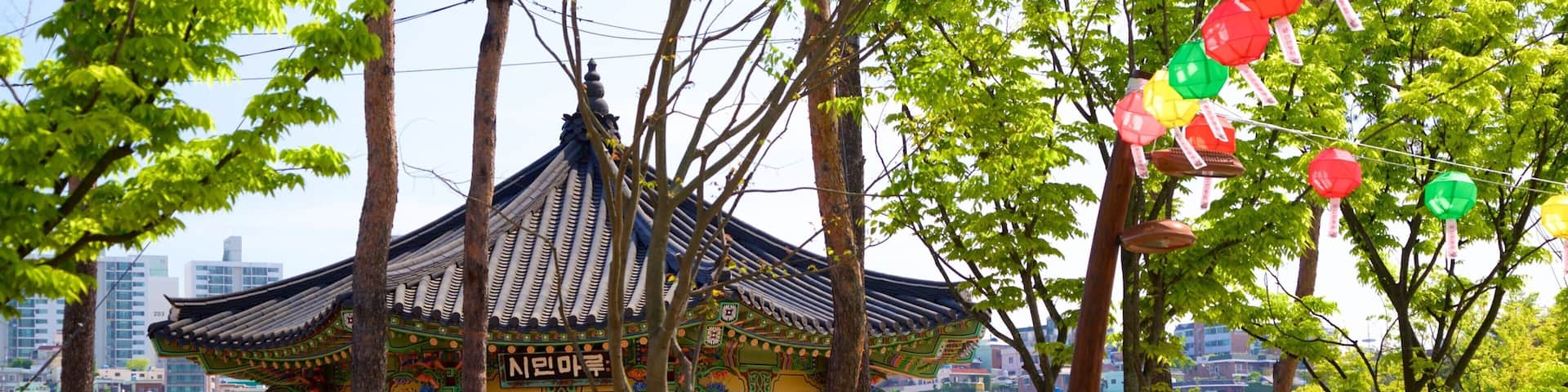 Parc des citoyens de Busan mettant en vedette patrimoine historique, parc et fleurs sauvages