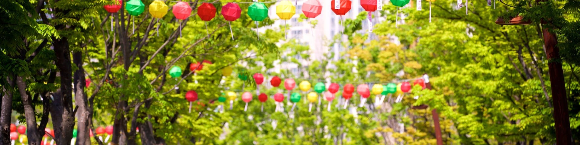 Parque Busan Citizens ofreciendo un jardín