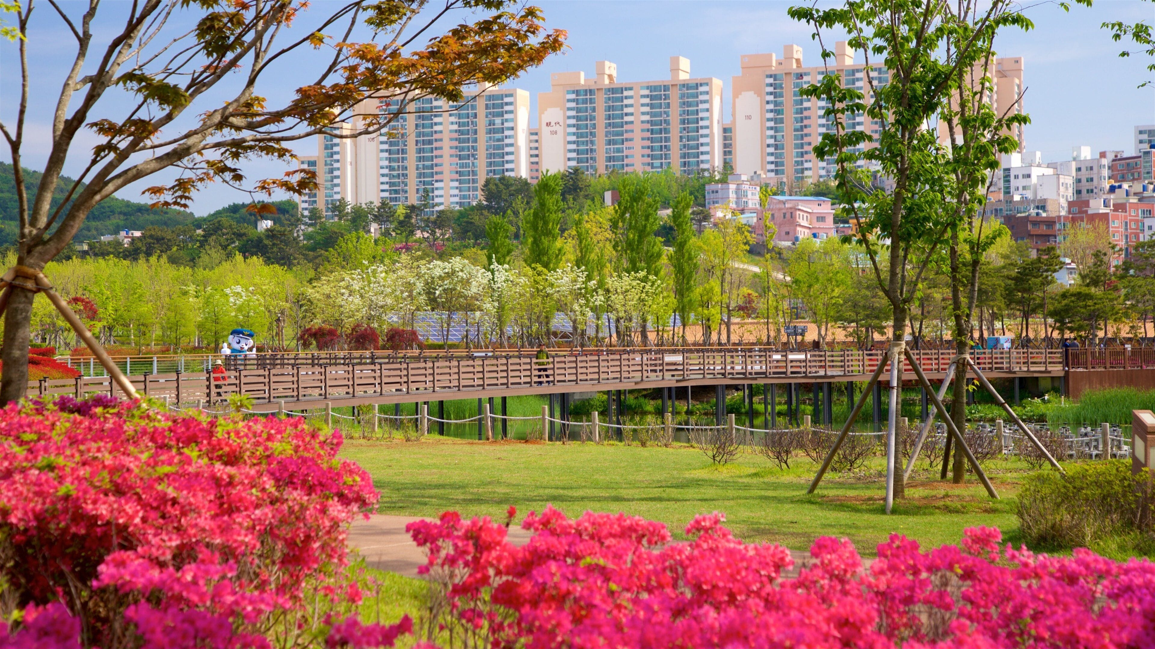 Busan Citizens Park which includes a bridge, wildflowers and a city