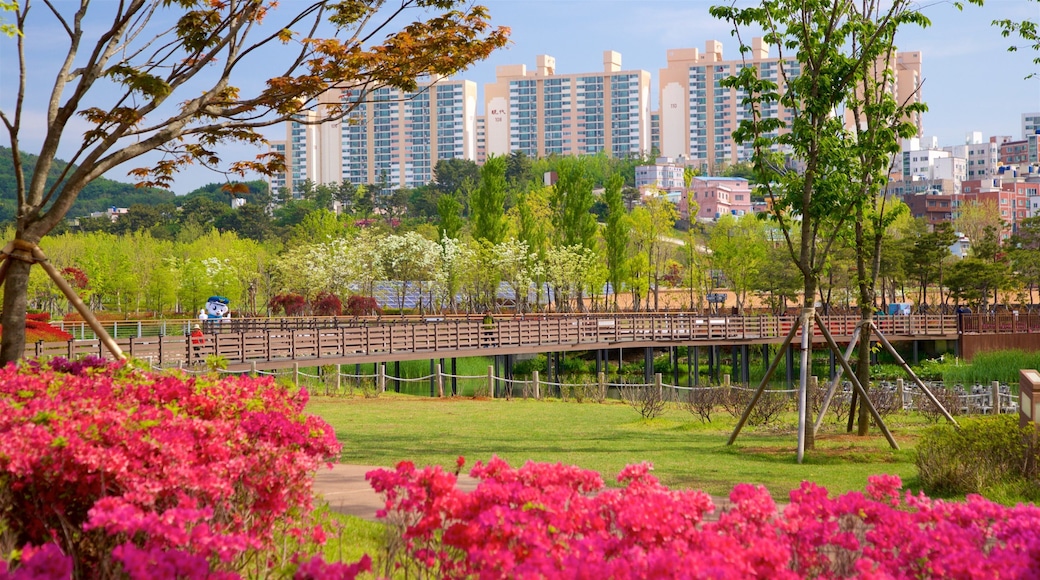 Busan Citizens Park which includes a bridge, wildflowers and a city