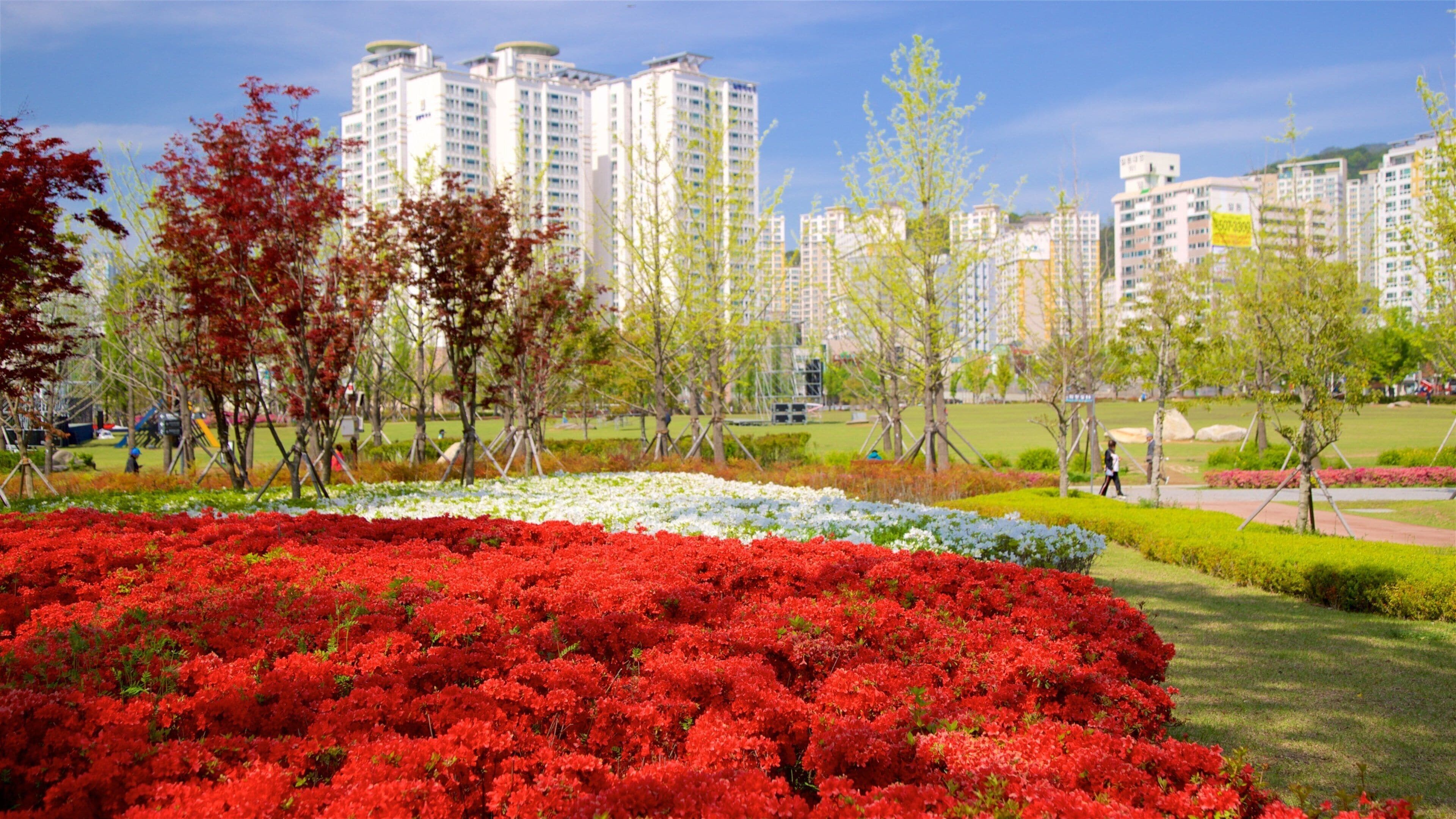 Busan Citizens Park which includes a city, wildflowers and a garden