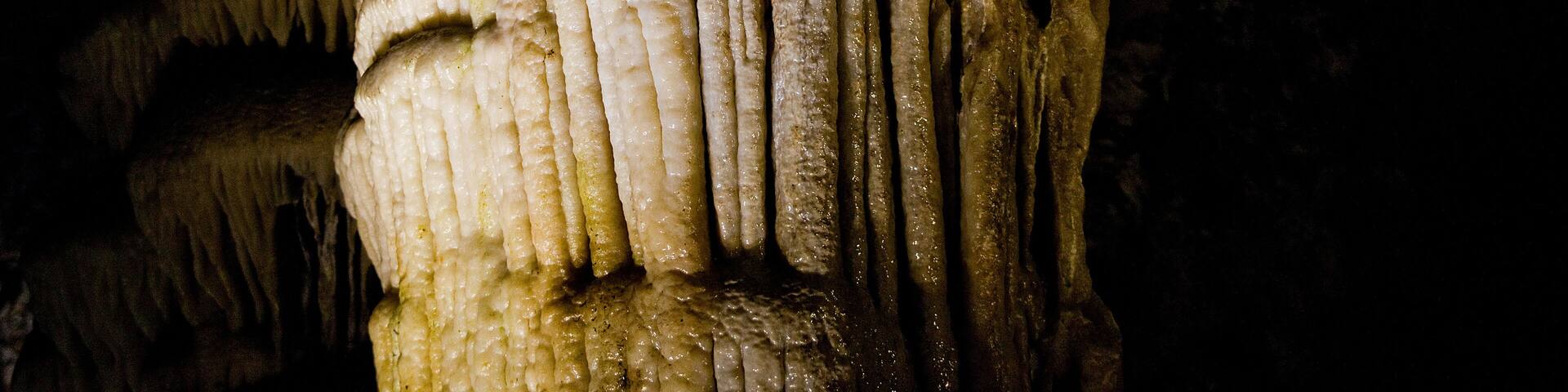 A close-up of stalactites in a cave.