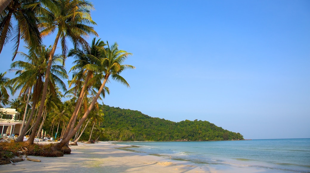 Vietnam qui includes scĂšnes tropicales et plage