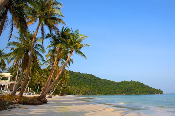 Vietnam featuring a sandy beach and tropical scenes