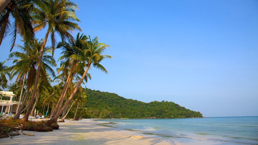 Vietnam featuring tropical scenes and a sandy beach