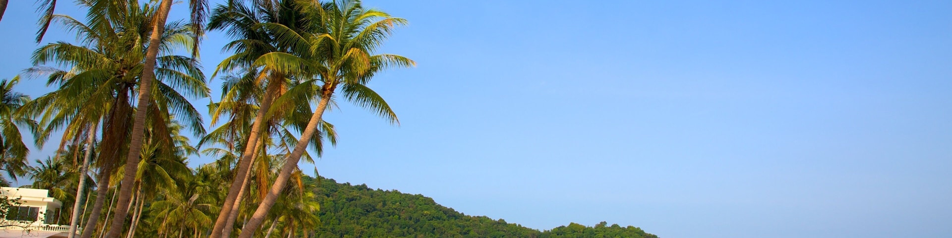 Vietnam featuring tropical scenes and a sandy beach