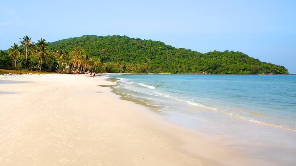 A beach with clear turquoise water, sandy shore, palm trees, and a green hill in the background.