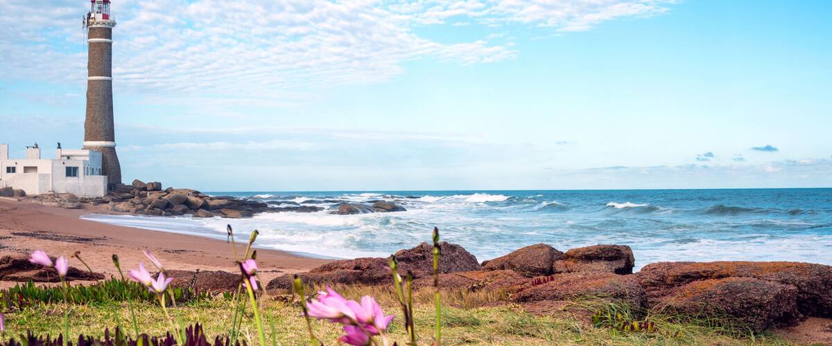 A coastal landscape with a lighthouse, rocky beach, and pink flowers.