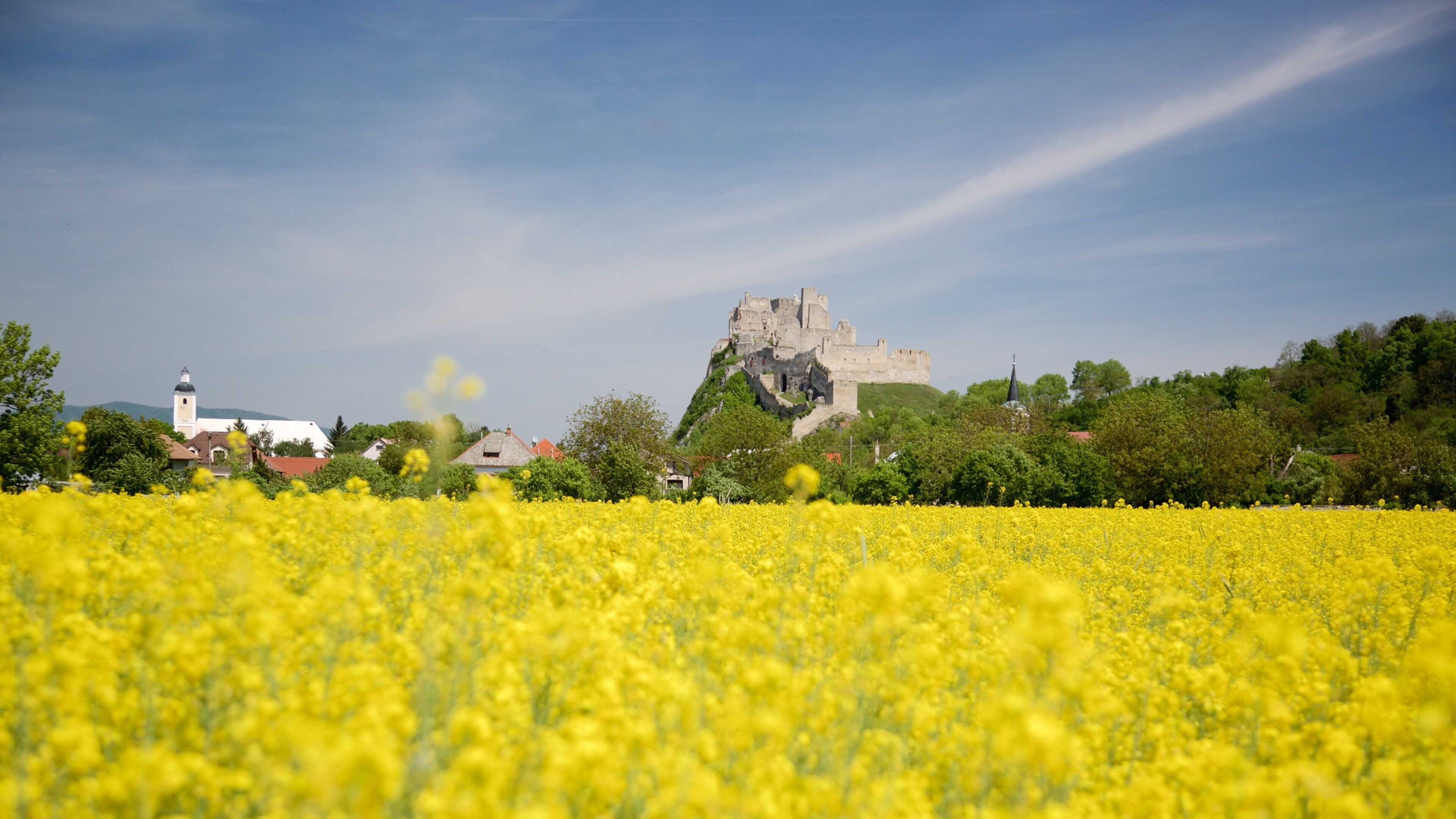 Beckov Castle which includes a ruin, chateau or palace and farmland