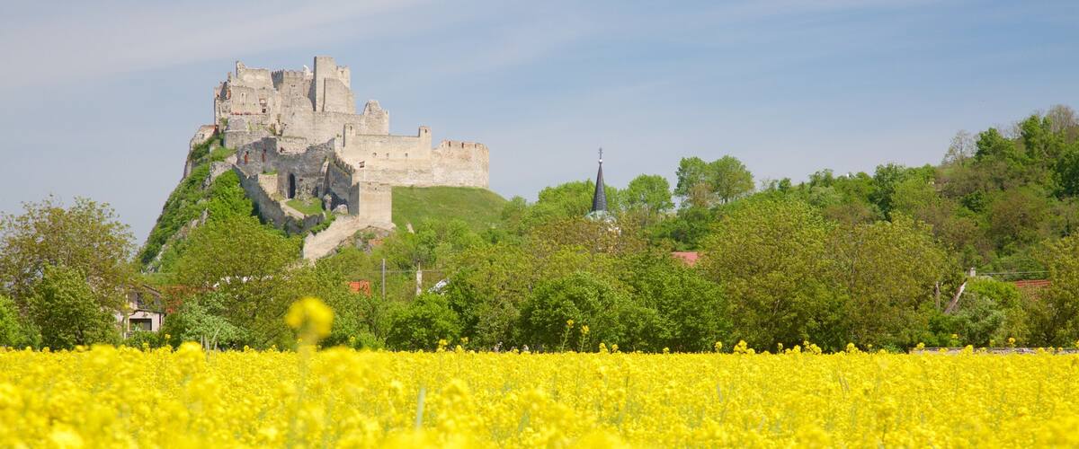 Slovakia which includes farmland, château or palace and a ruin