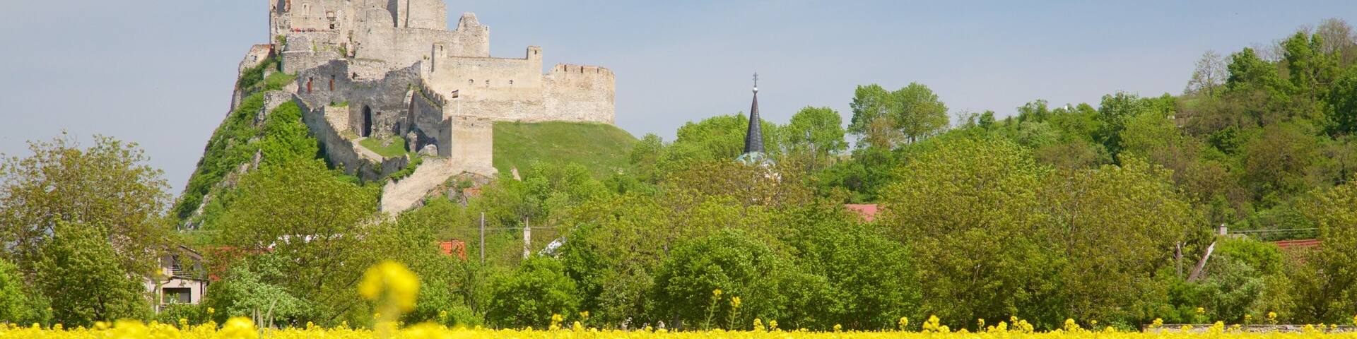 Slovakia which includes château or palace, building ruins and farmland