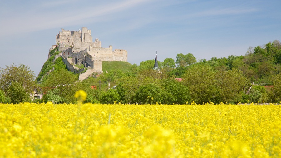 Slovakia which includes farmland, château or palace and a ruin