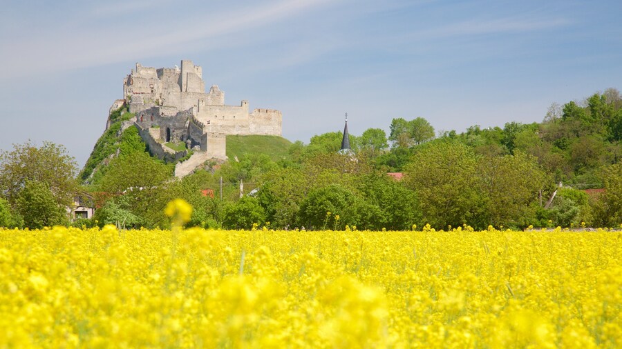 Slovakia featuring building ruins, a castle and farmland