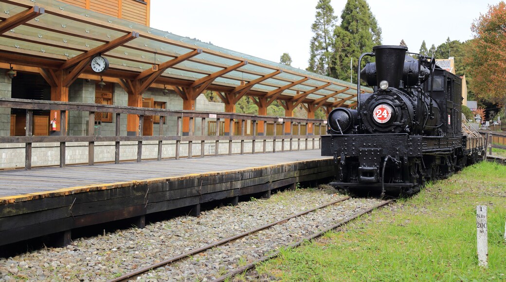 Parc ferroviaire Alishan Forest Railway Garage Park
