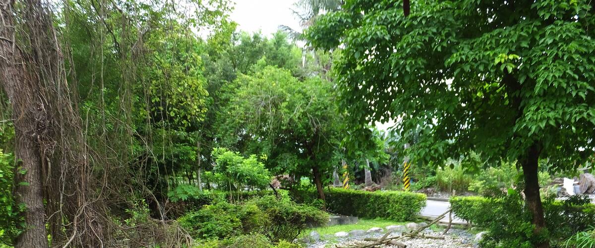 A wooden deck with a stone bench surrounded by lush greenery and trees.