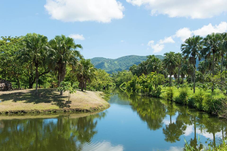 A calm river with palm trees and a mountain range in the background.