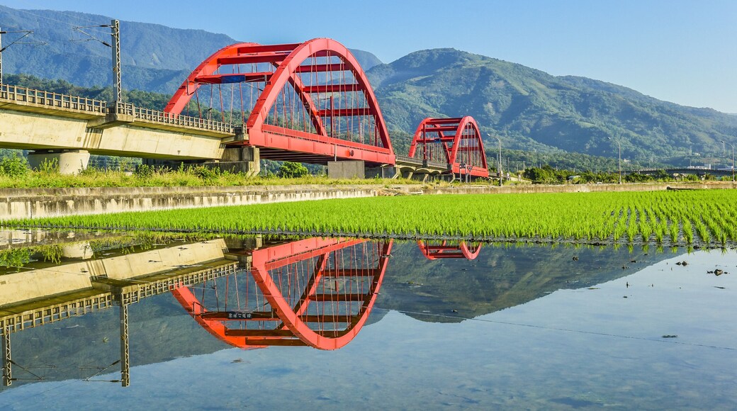 Beautiful Red Iron Bridge (Kecheng Bridge) And Morning Train Across The Rice Plantation At Yuli, Hualien, Taiwan, Shutterstock ID 1161471760, SF SSA Case with Manager Approval: Case 07151371, Job: Pre