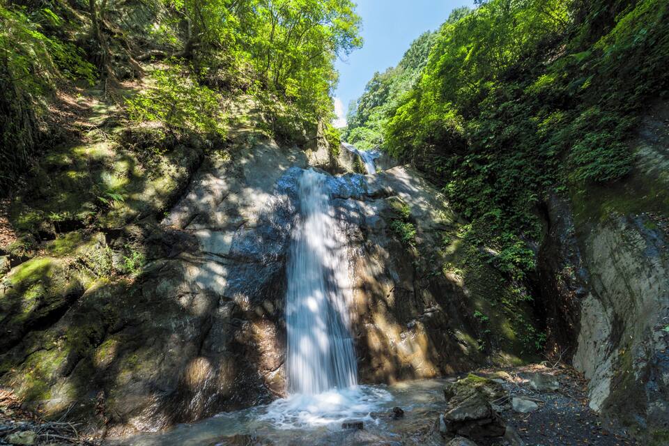 A waterfall in a forested area with dense greenery and rocky terrain.