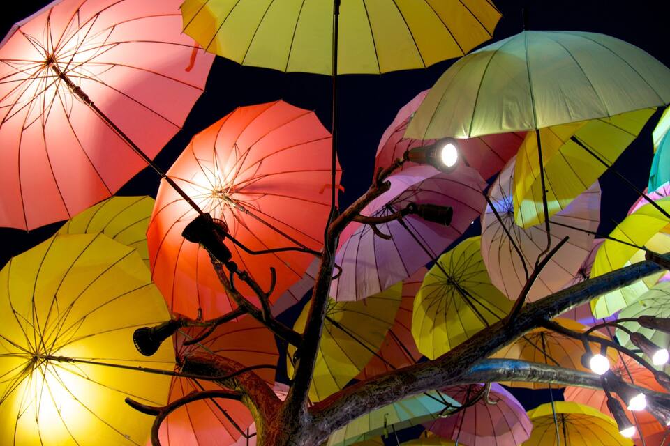 A tree with colorful umbrellas hanging from its branches.
