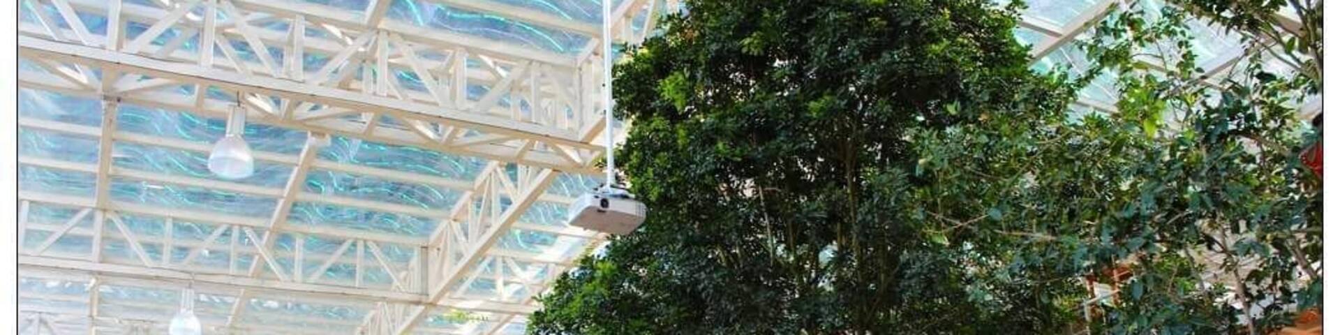 A large indoor botanical garden with a glass ceiling and various plants.