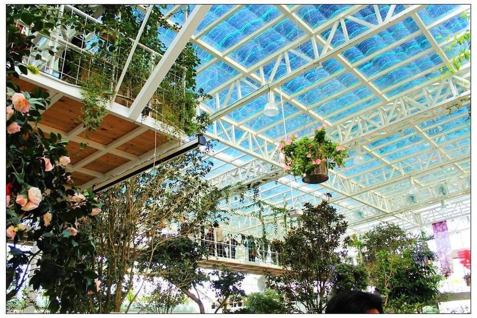 A glass-paneled greenhouse with hanging plants and a wooden walkway.