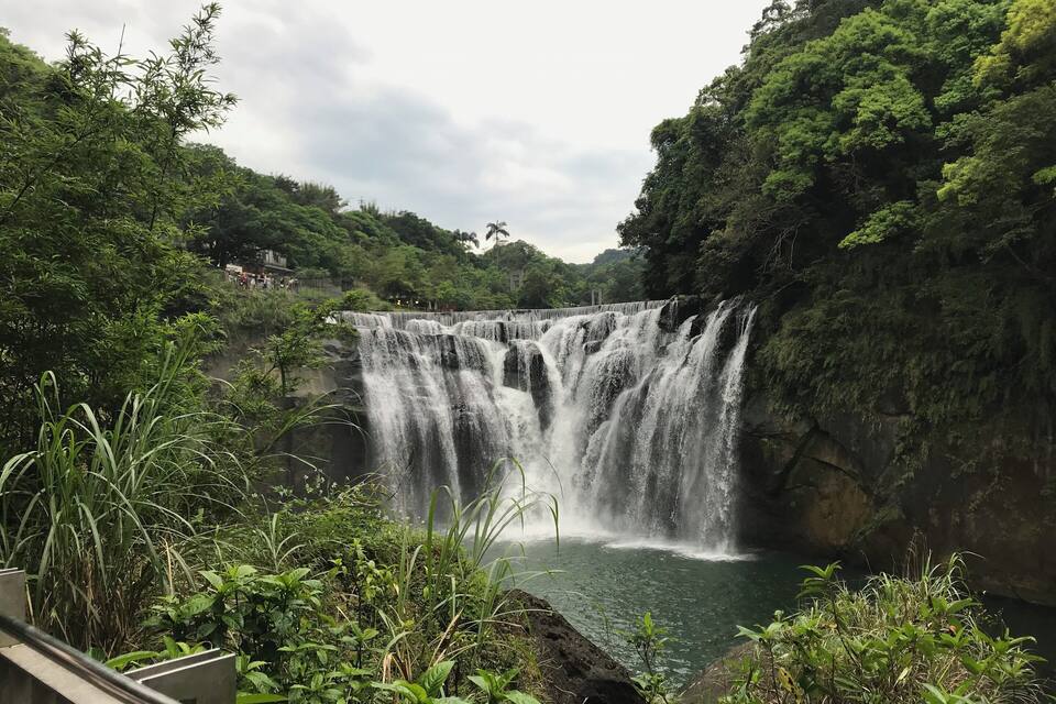 A waterfall cascading into a pool surrounded by lush greenery.
