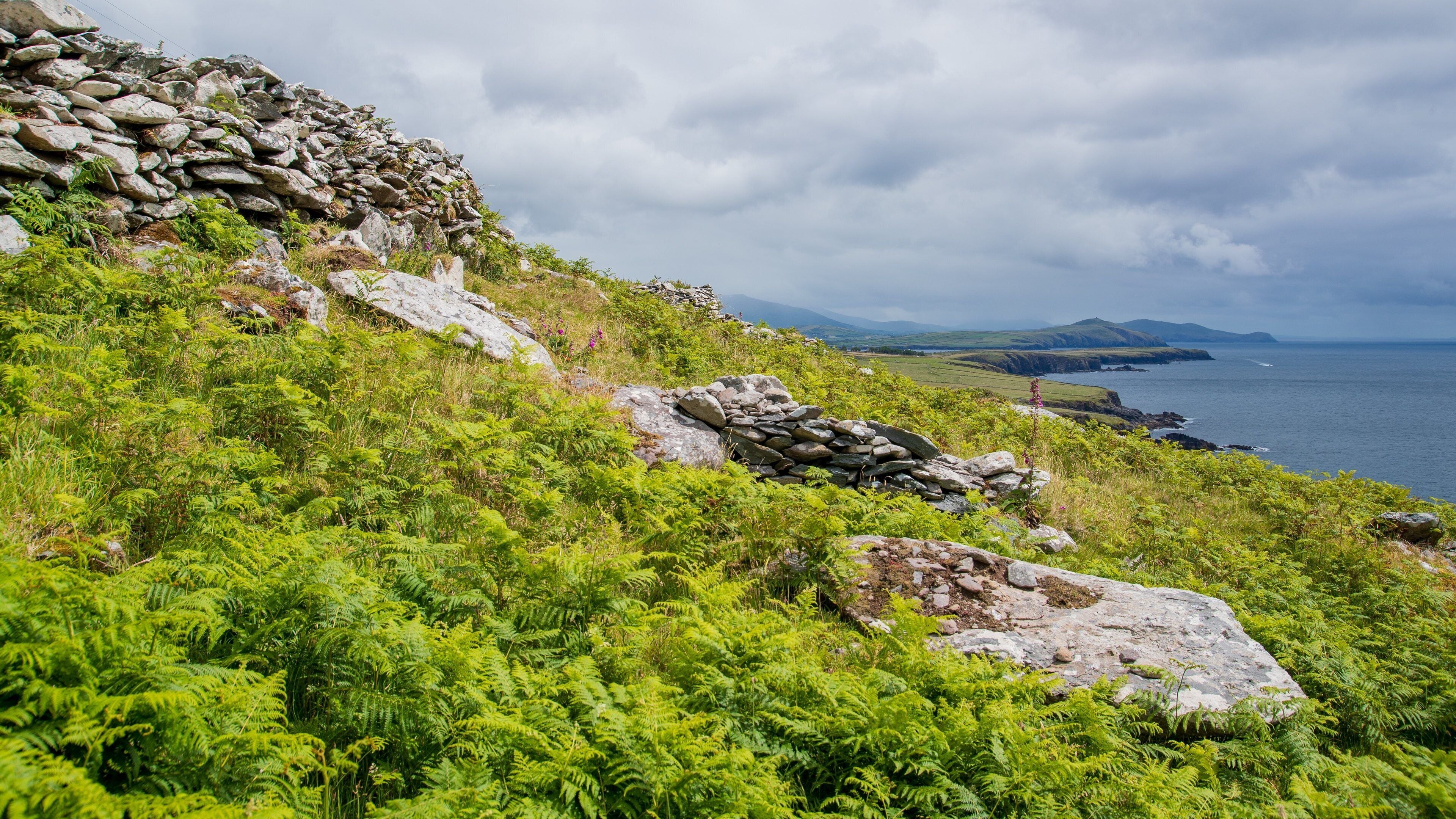 Fahan BeeHive Huts which includes tranquil scenes and general coastal views