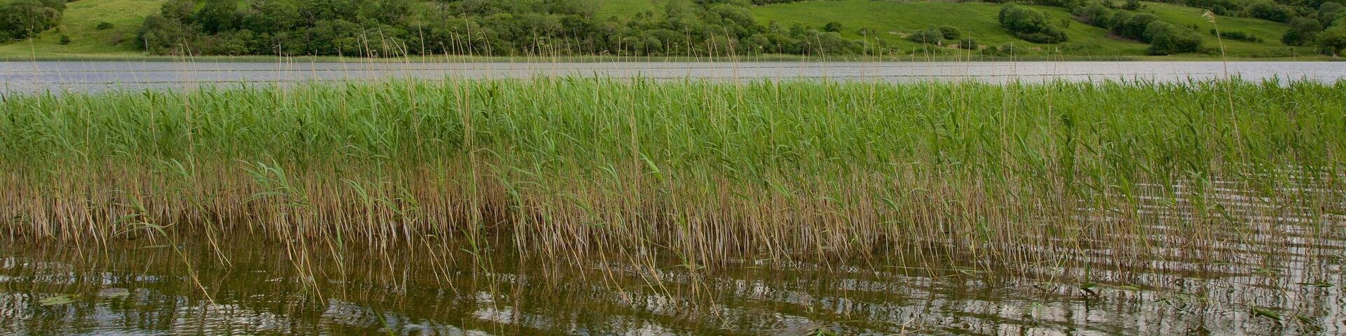 Sligo featuring tranquil scenes, mountains and a river or creek