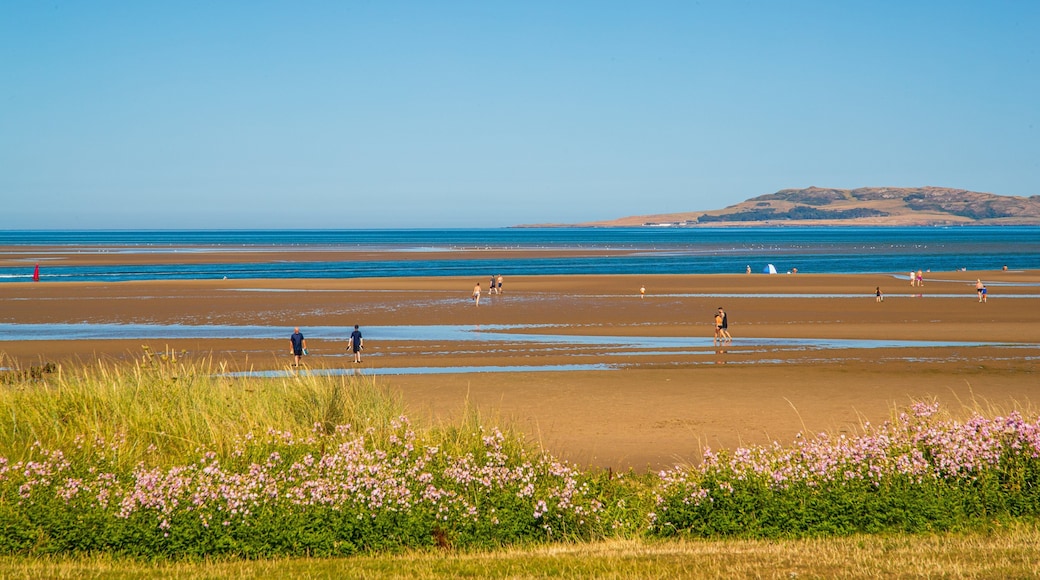 Malahide Beach which includes a beach and general coastal views