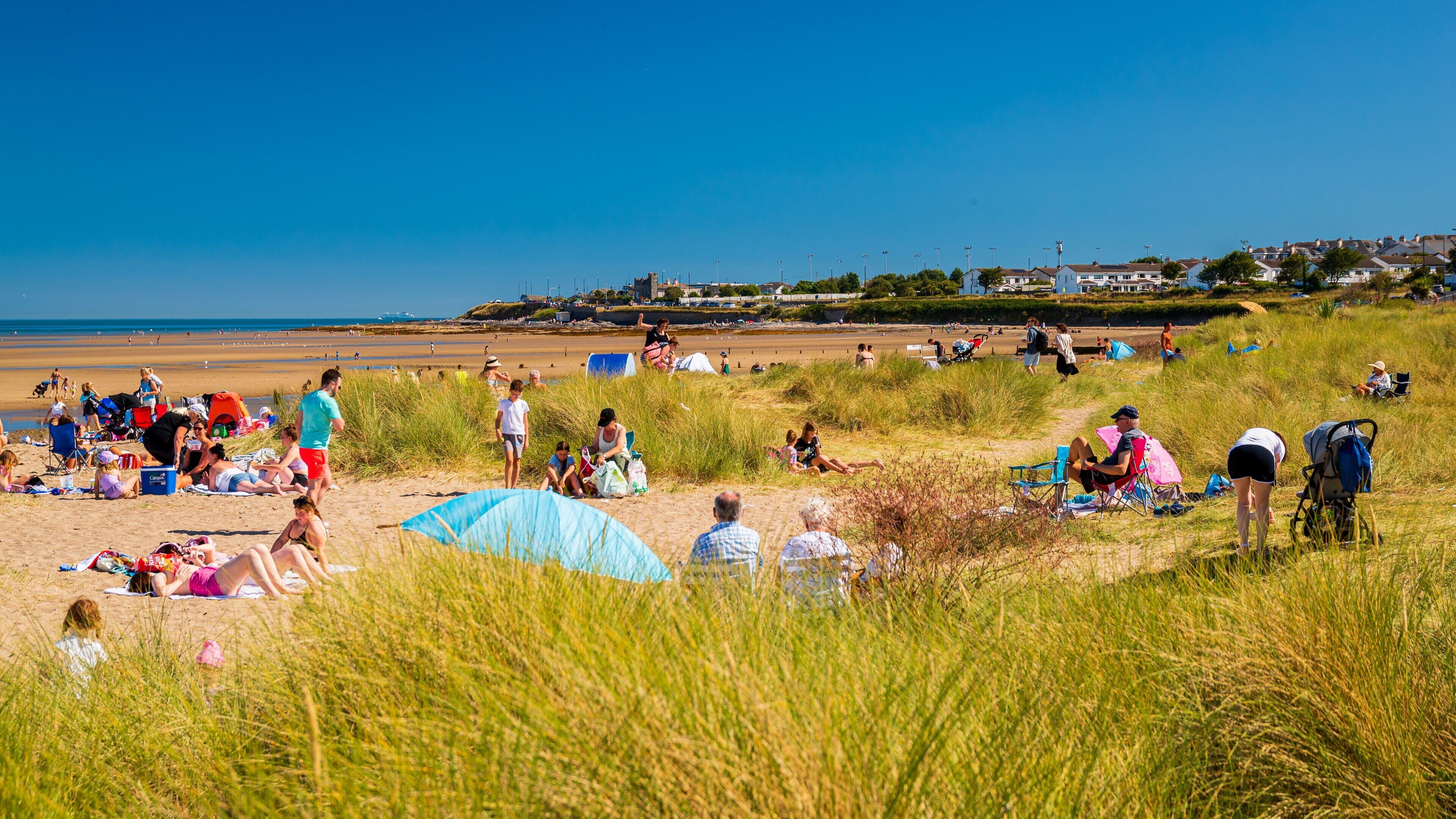 Malahide Beach showing a beach and general coastal views as well as a large group of people