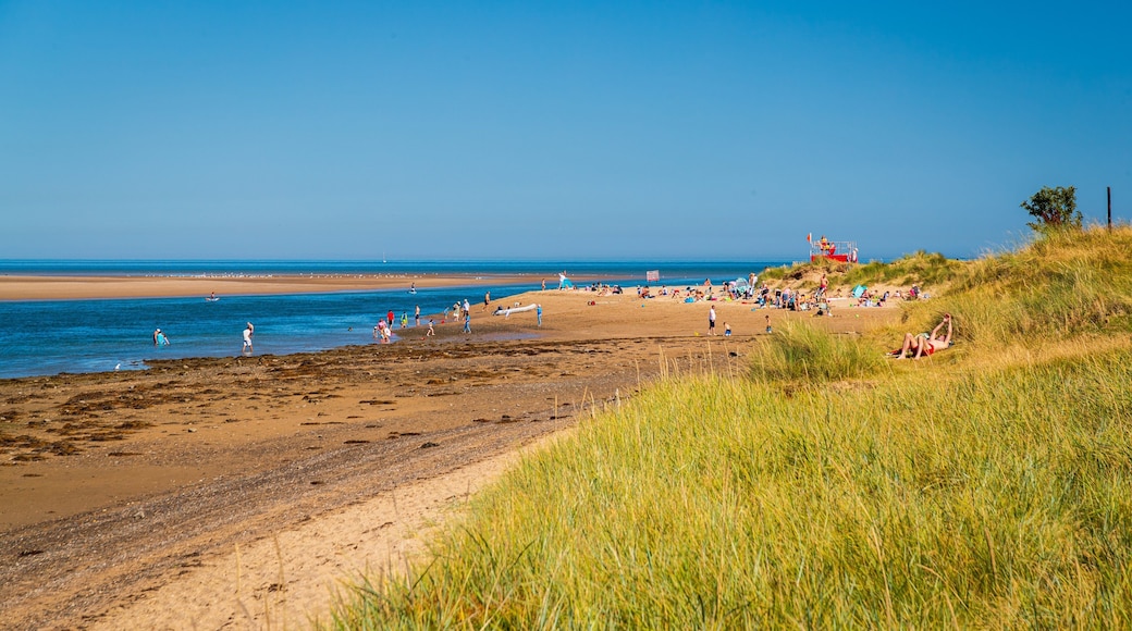 Malahide Beach showing a sandy beach and general coastal views