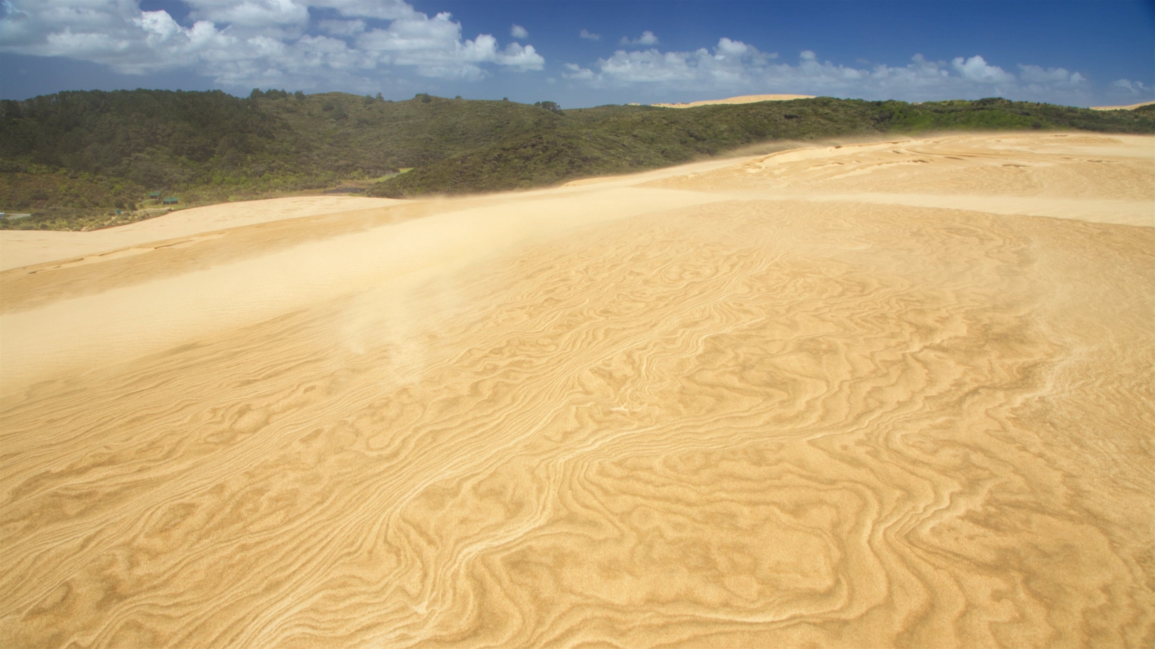 Te Paki Sand Dunes featuring landscape views and desert views