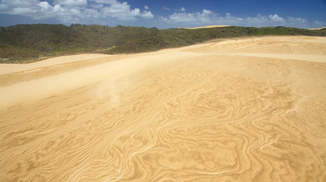 Te Paki Sand Dunes featuring landscape views and desert views