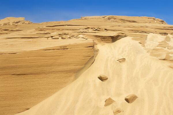 Te Paki Sand Dunes showing desert views