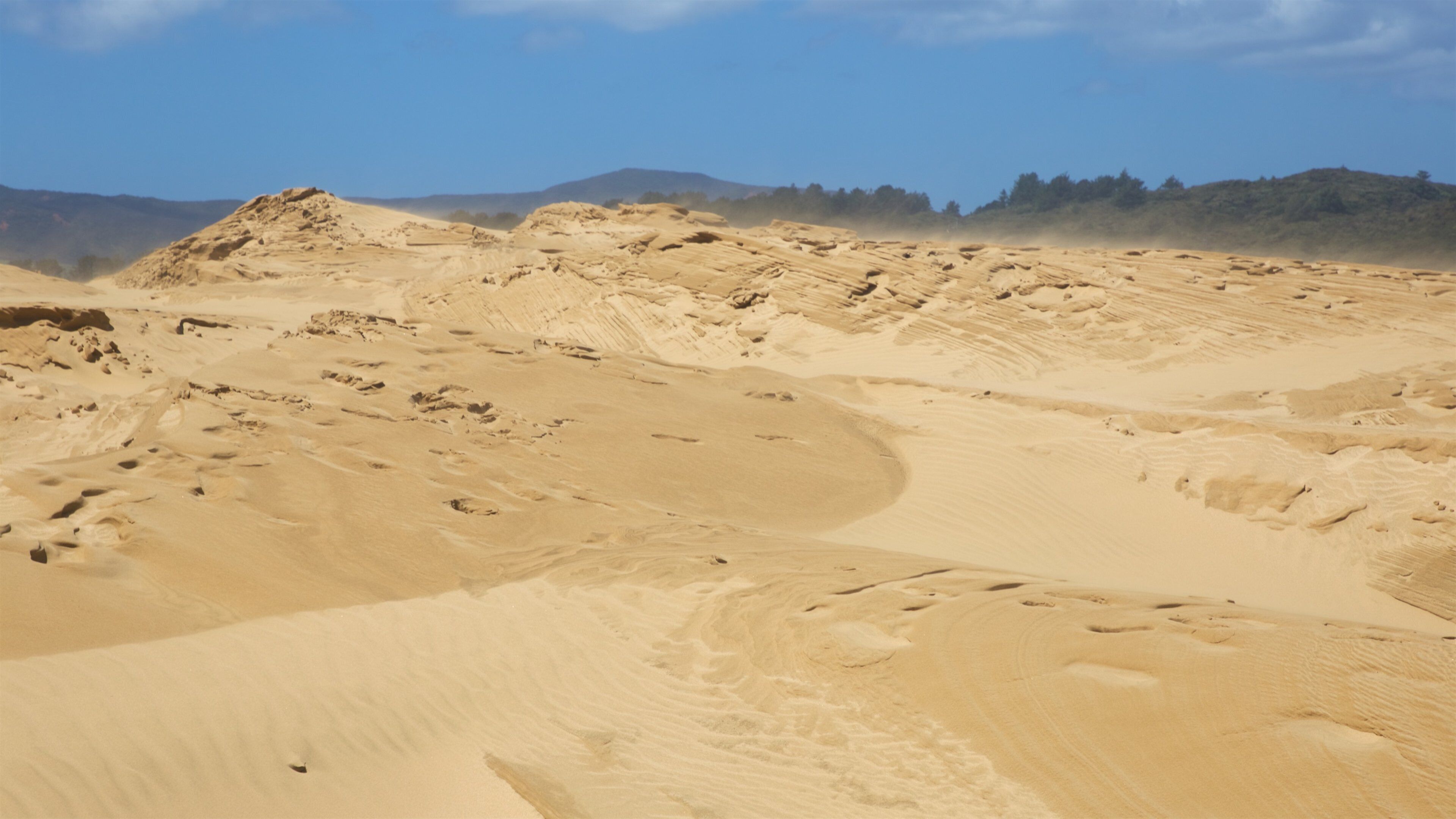 Te Paki Sand Dunes que incluye vista al desierto y vista panorámica