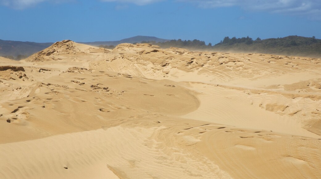 Te Paki Sand Dunes que incluye vista al desierto y vista panorámica
